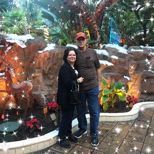 Meet your Posher, Debbie